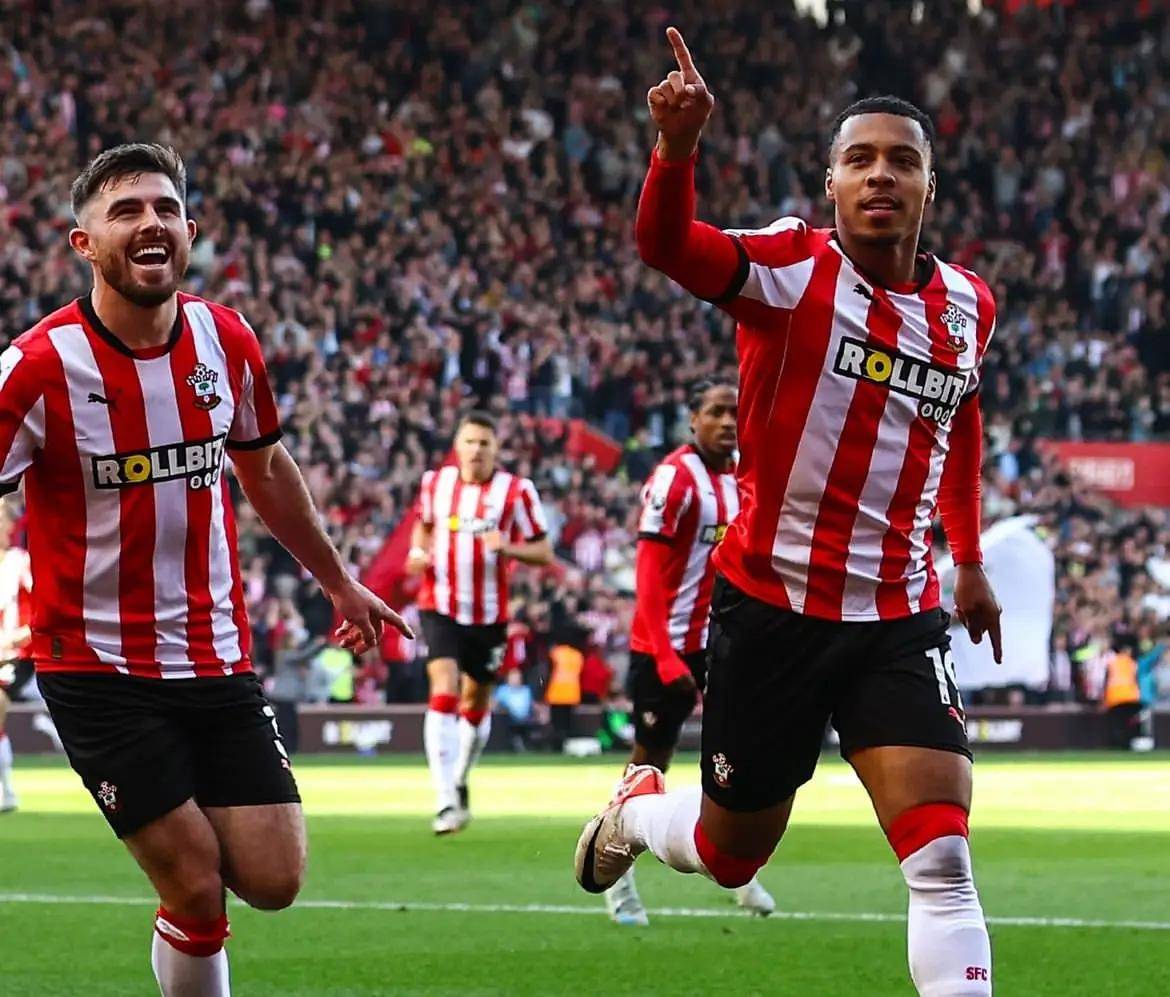 南安普顿主场不敌对手,遭遇保级危机的简单介绍 南安普顿主场不敌对手,遭遇保级危机的简单介绍