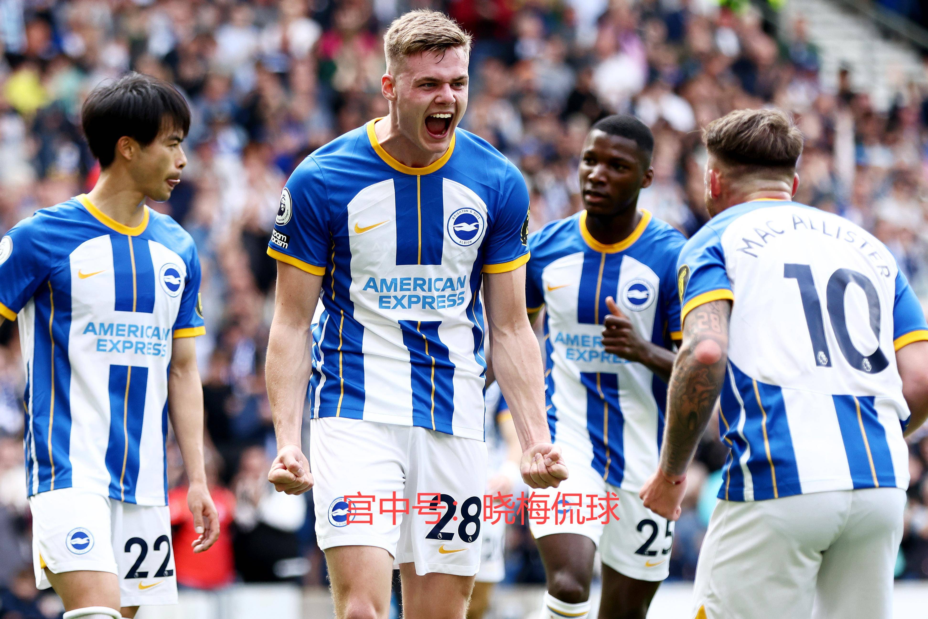 关于埃弗顿客场战平南安普顿,积分榜第十六的信息 关于埃弗顿客场战平南安普顿,积分榜第十六的信息