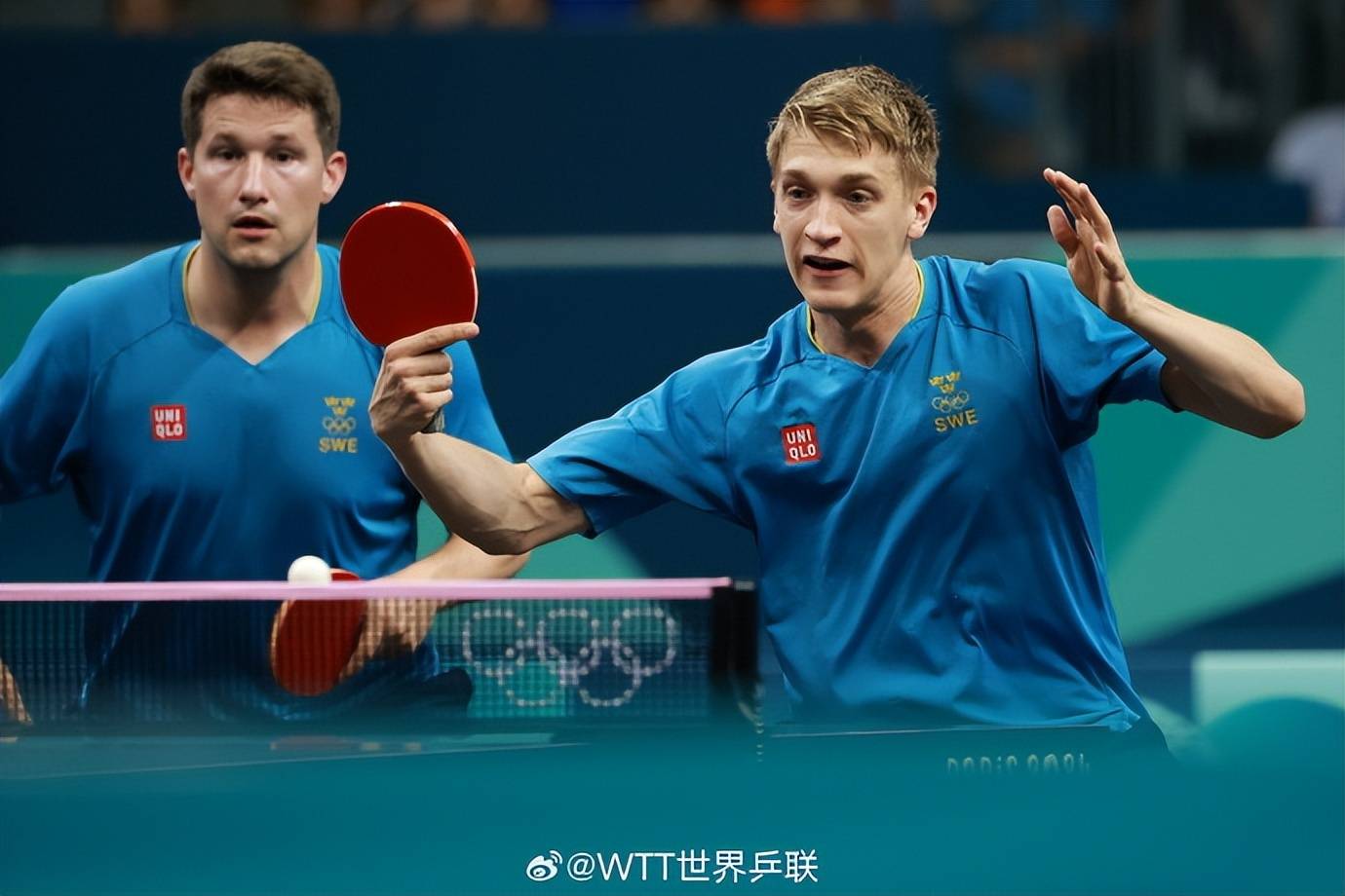 法国乒乓球队横扫英国乒乓球队,波尔关键制胜的简单介绍 法国乒乓球队横扫英国乒乓球队,波尔关键制胜的简单介绍