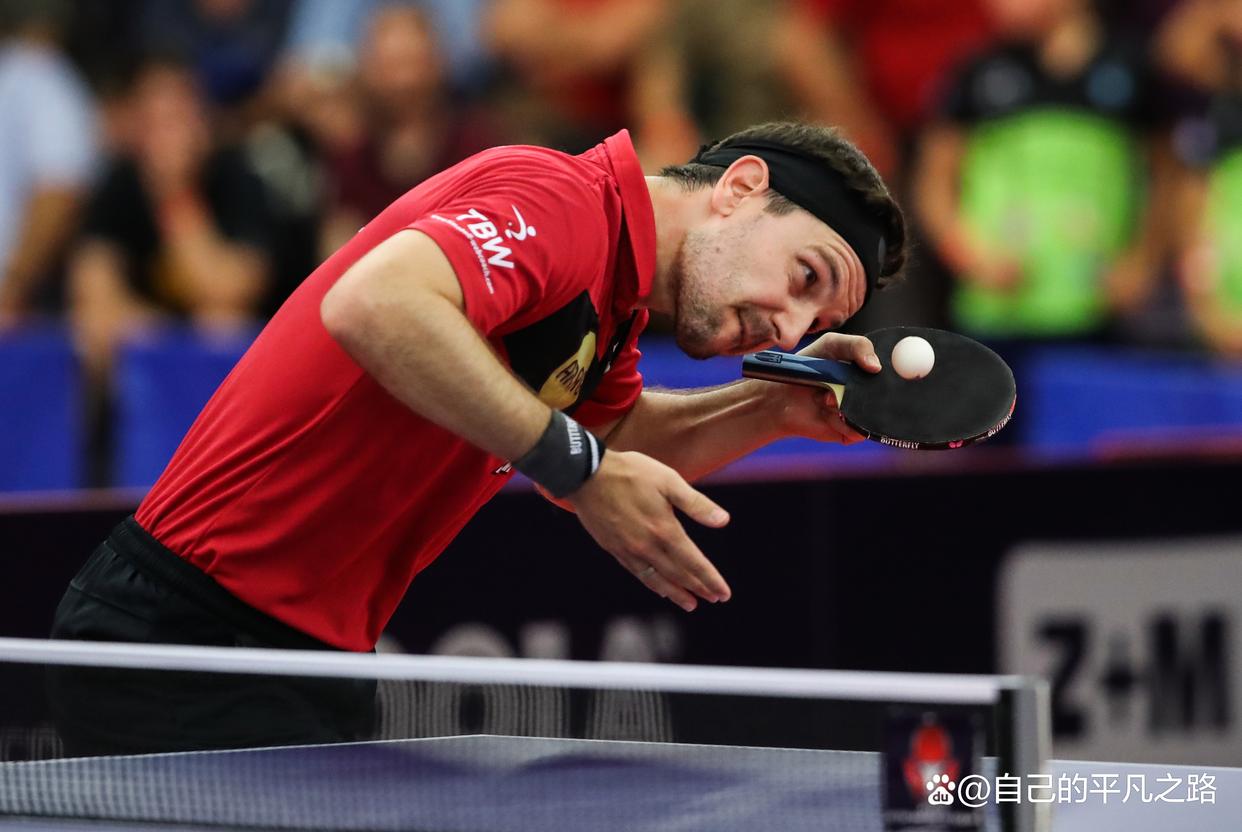 日本乒乓球队横扫奥地利乒乓球队,波尔关键制胜的简单介绍 日本乒乓球队横扫奥地利乒乓球队,波尔关键制胜的简单介绍