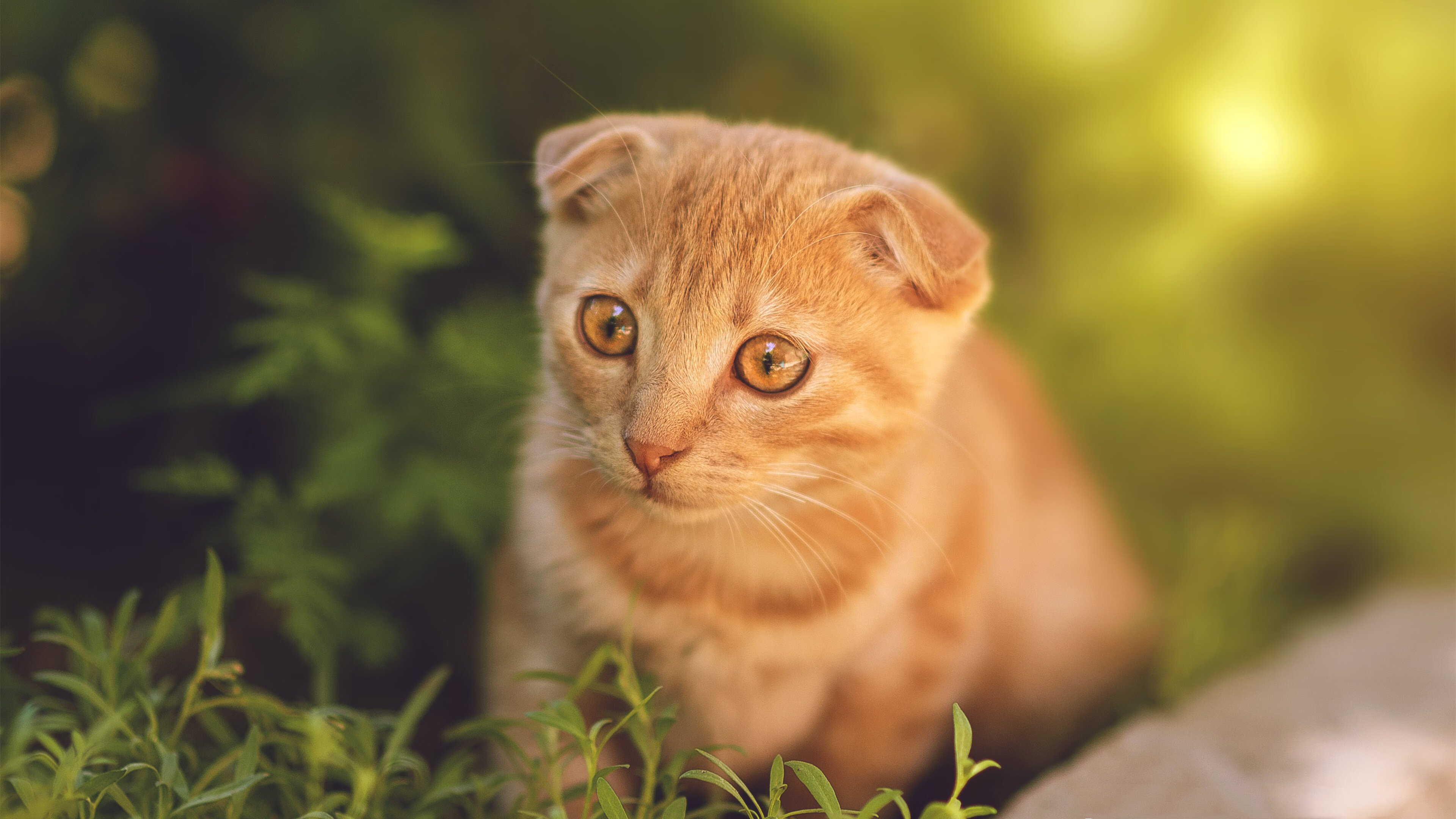 格纳布里燃爆绿茵，当德意志利刃撕裂美阿防线