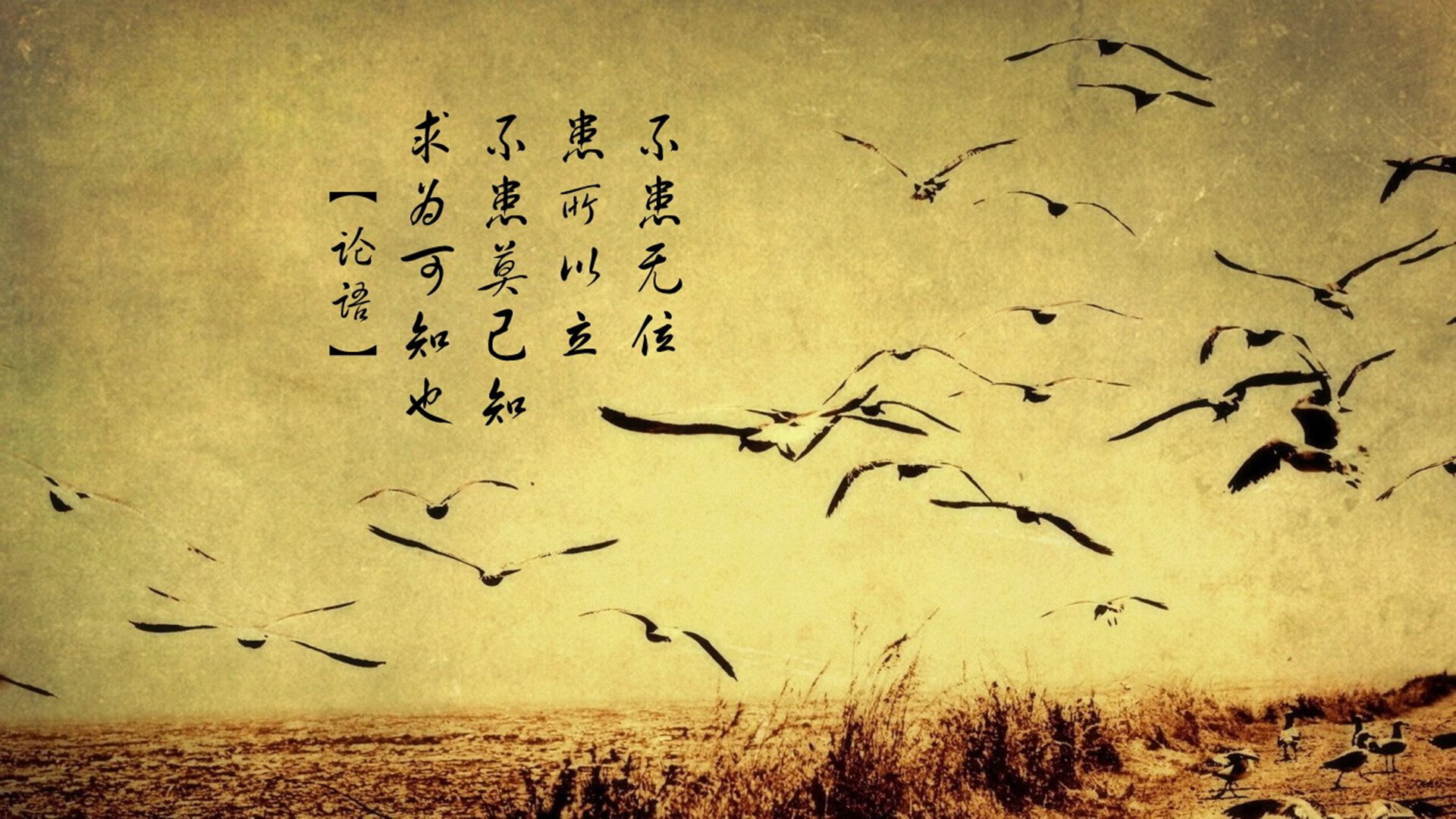 蛰伏之刺刺破喧嚣,黄蜂年度焦点战逆袭麦迪逊的沉默叹息