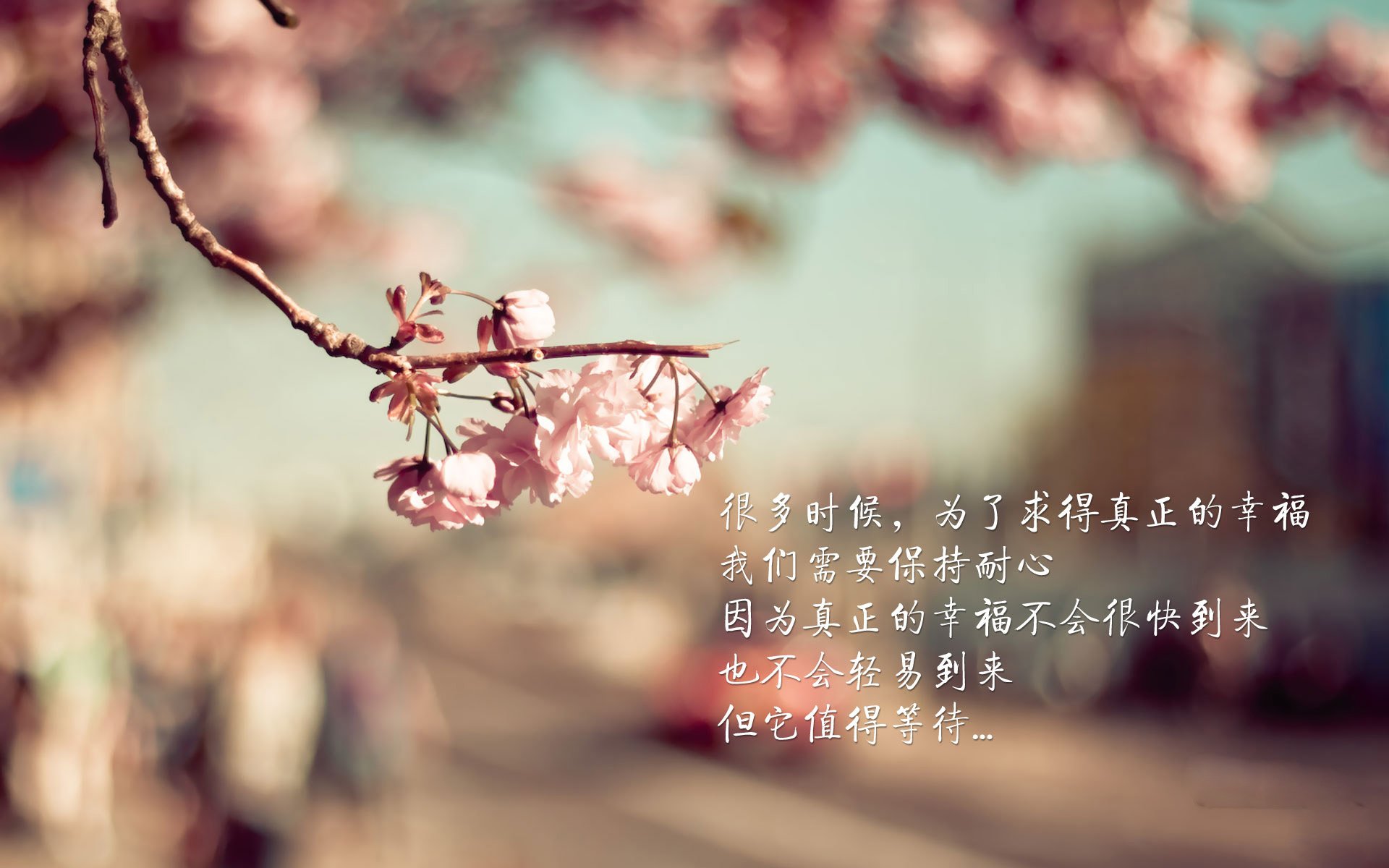 美加墨世界杯之夜，切特大师的绝对统治