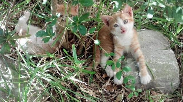 神兵天降!恩比德连续得分狂潮撕裂篮网防线,76人主场告捷