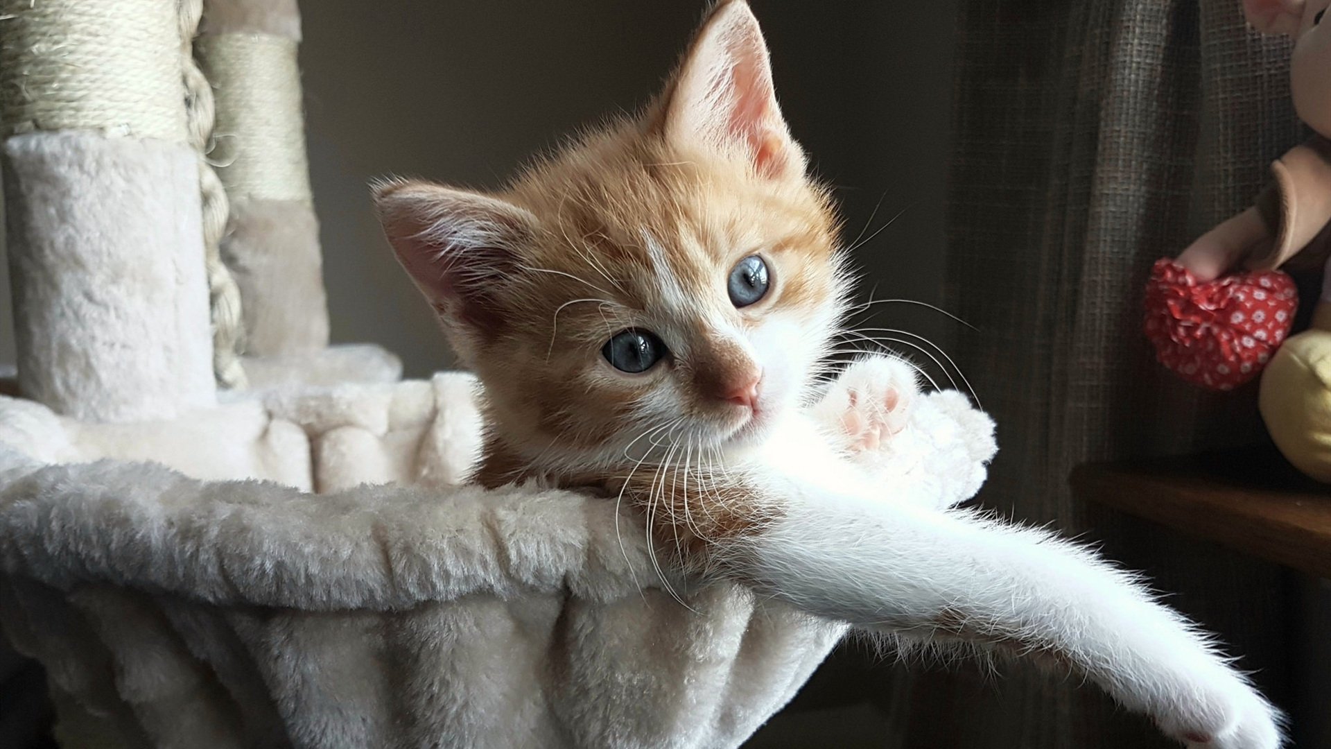 东决关键战之夜,努涅斯比赛走势一手掌控