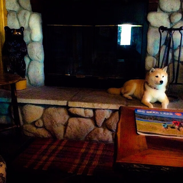 绿茵场上的安哥拉奇迹,当欧冠决赛级焦点战,上演弱旅打穿豪强的史诗